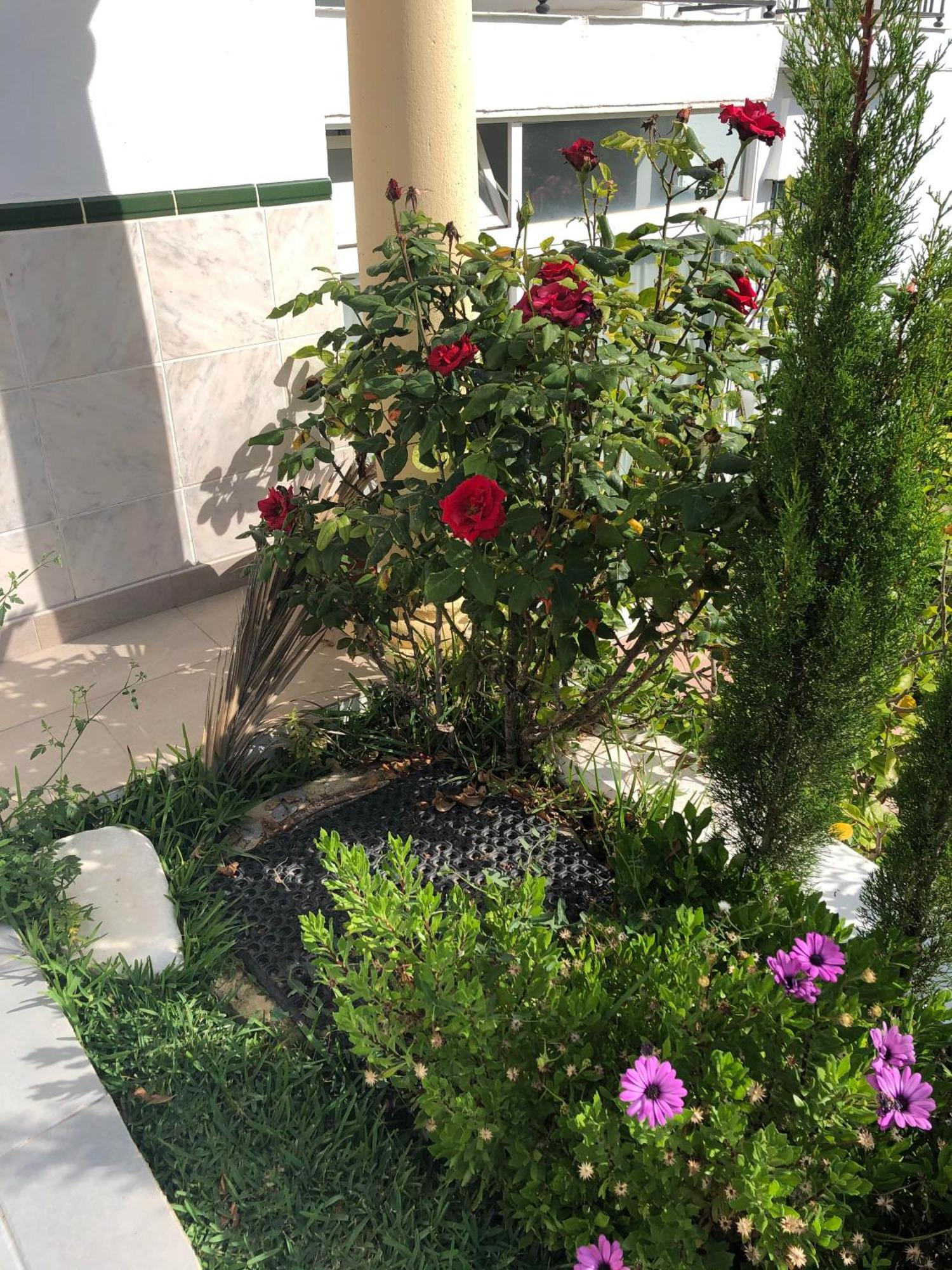 Stella Blanca 24B Διαμέρισμα Fuengirola Εξωτερικό φωτογραφία